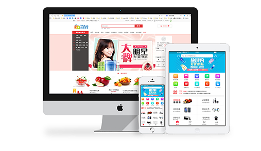 電子商務概述之商城系統有哪些類型？
